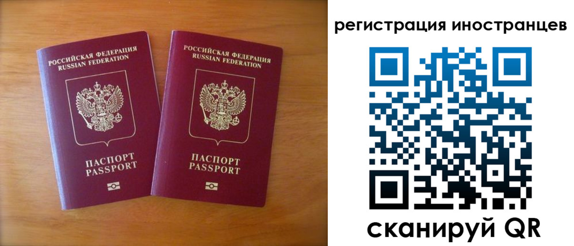 прописка поиск в Бабаево